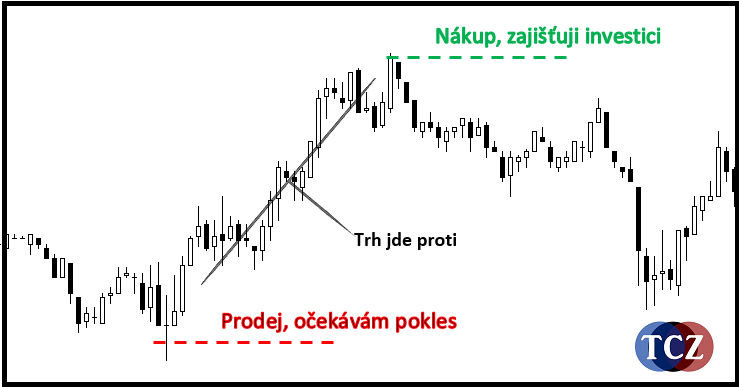 Hedge nebo hedging