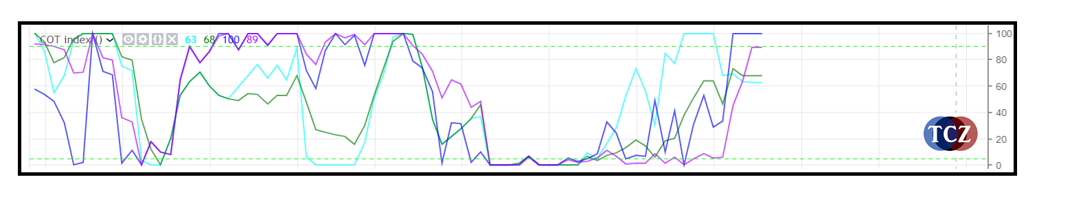 COT index report