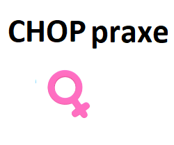 CHOP v praxi k "nezaplacení"