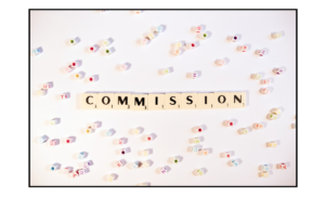 Commission – komise