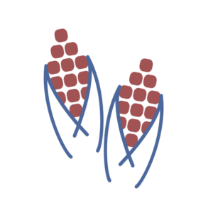 Komodity - Kukuřice | TradeCZ