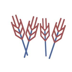 Komodity - Pšenice | TradeCZ