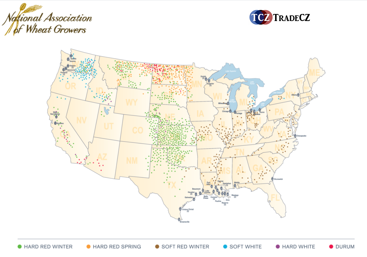Produkce pšenice v USA