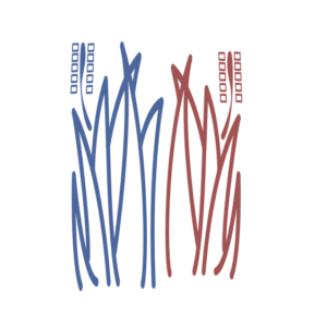 Komodity - Rýže | TradeCZ