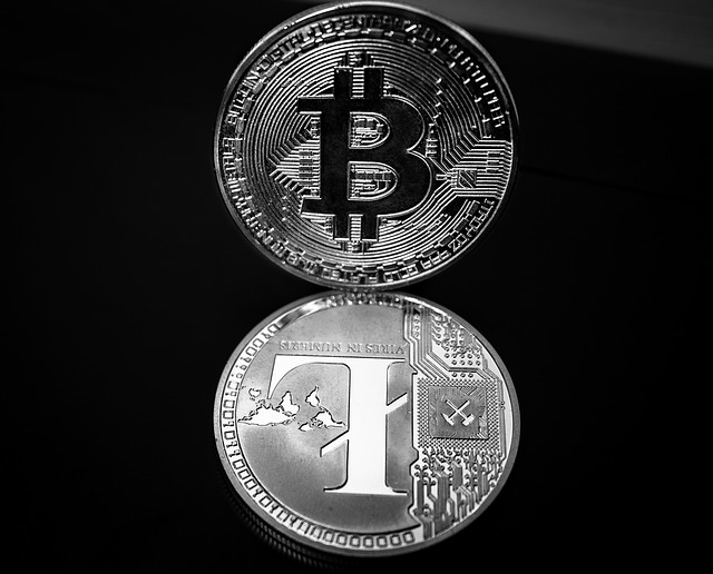 Bitcoin a Litecoin srovnání