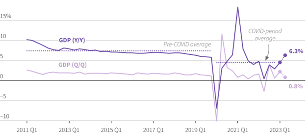 černé labutě | TradeCZ